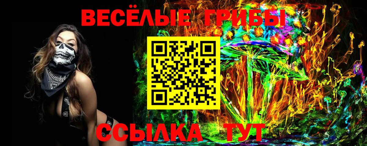 Галлюциногенные грибы Psilocybine cubensis Северск