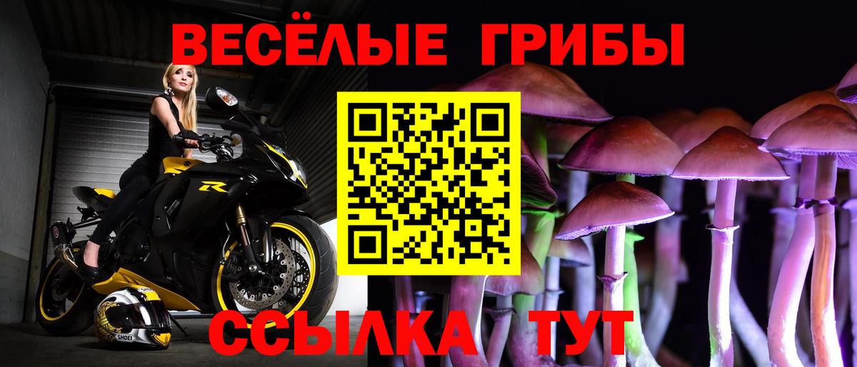 Псилоцибиновые грибы Psilocybine cubensis  Вход с VPN  где продают   Псилоцибиновые грибы ЛСД  Северск 